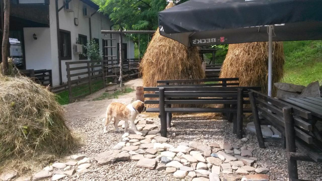 Pension Casa Drumetului เปียตราเนียมซ์ ภายนอก รูปภาพ