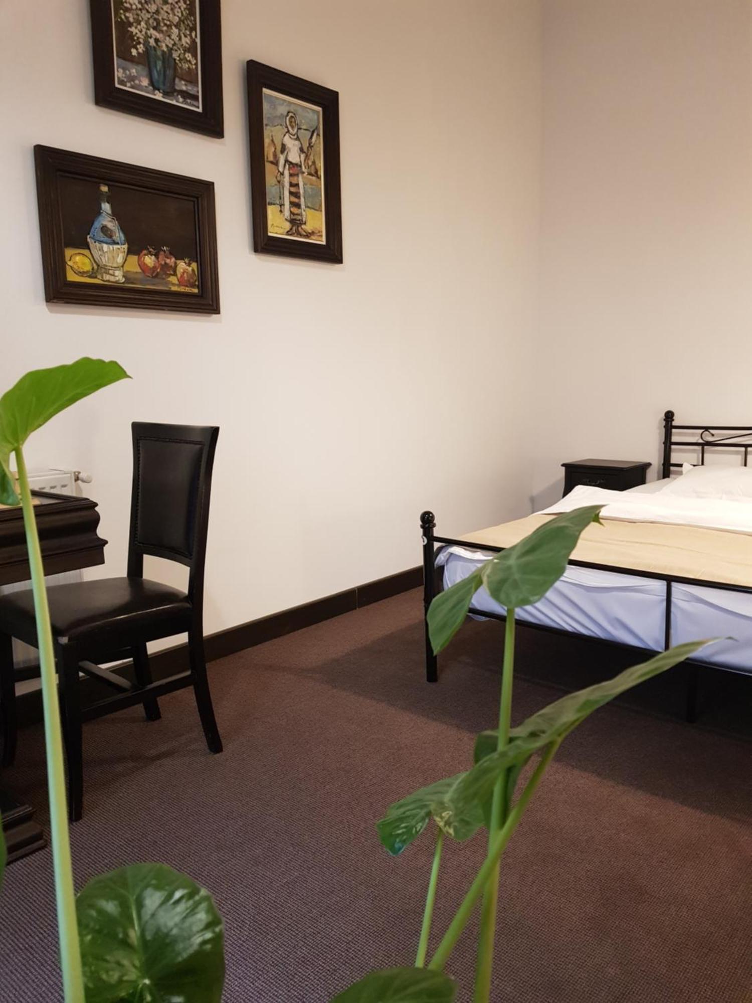 Pension Casa Drumetului เปียตราเนียมซ์ ภายนอก รูปภาพ