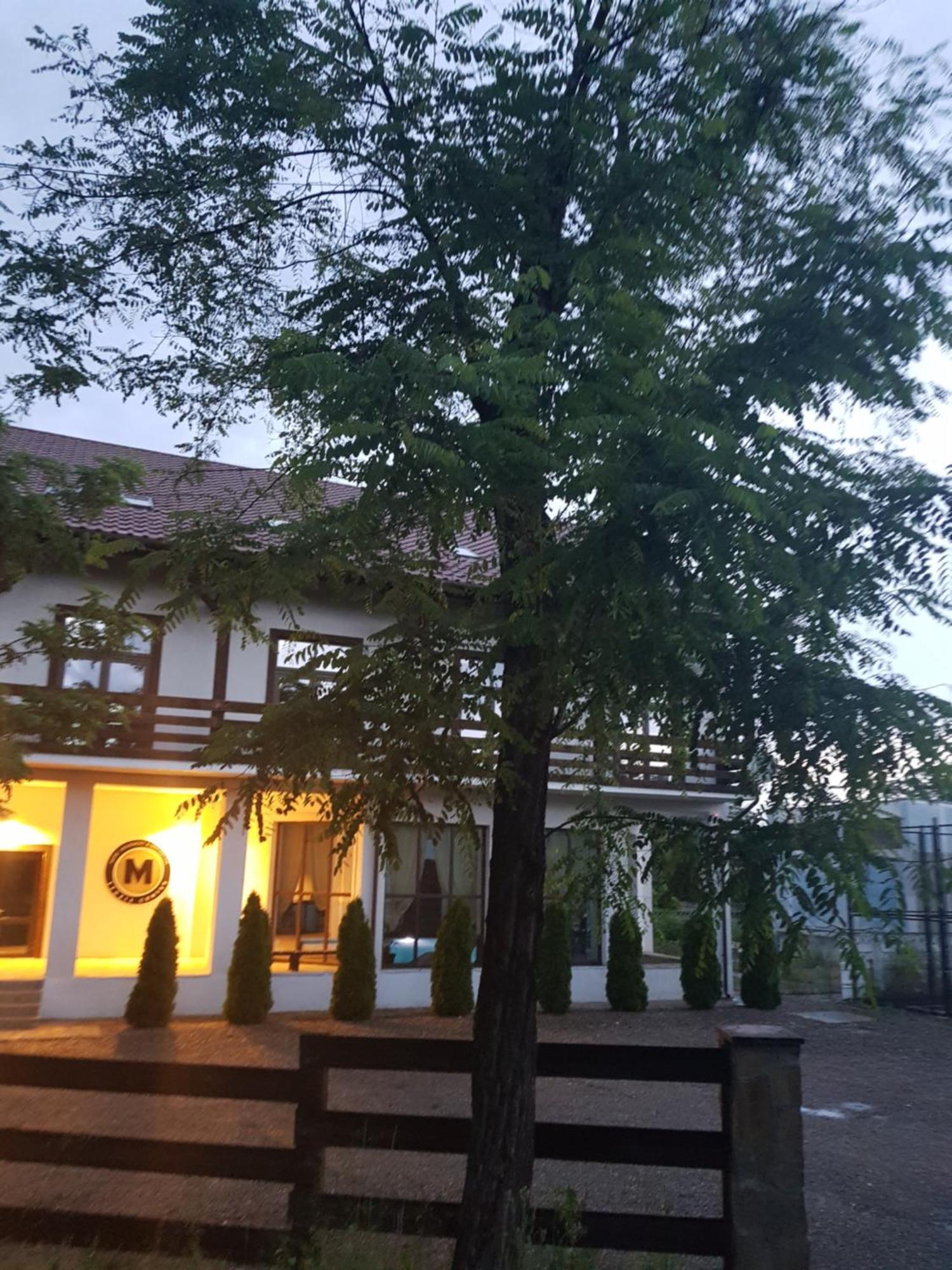 Pension Casa Drumetului เปียตราเนียมซ์ ภายนอก รูปภาพ